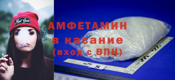 гидра Пересвет