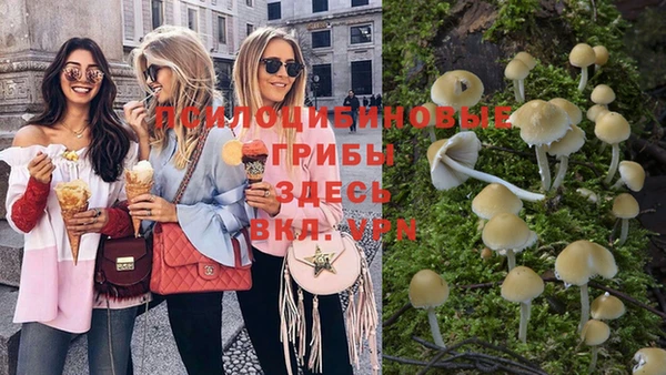 гидра Видное