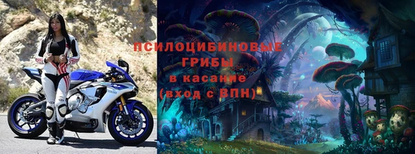 гидра Пересвет
