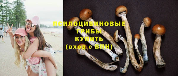 винт Пестово