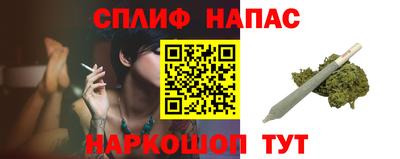 ECSTASY Новозыбков