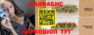 тгк Новодвинск