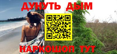тгк Новодвинск
