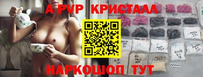 тгк Новодвинск