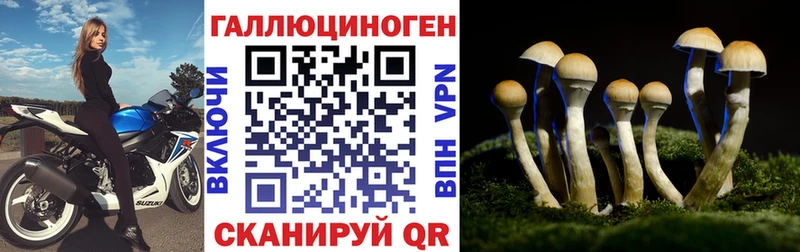Галлюциногенные грибы Psilocybine cubensis  где можно купить   Родники 
