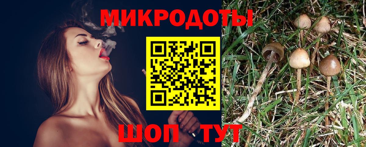 даркнет сайт  Галлюциногенные грибы GOLDEN TEACHER  Родники  Вход с VPN  Псилоцибиновые грибы Magic Shrooms 